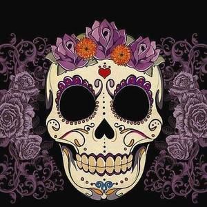 Meet your Posher, Teresa